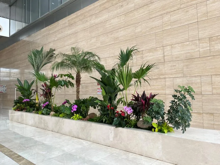 北仑花卉租摆方案 北仑花卉租摆方案